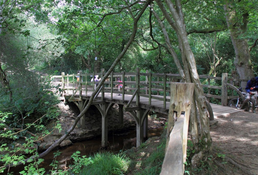 アッシュダウンの森にあるプーの棒投げ橋