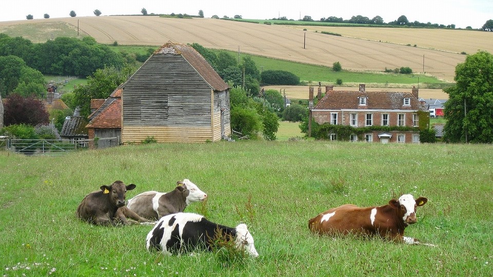 イギリスの牧場風景