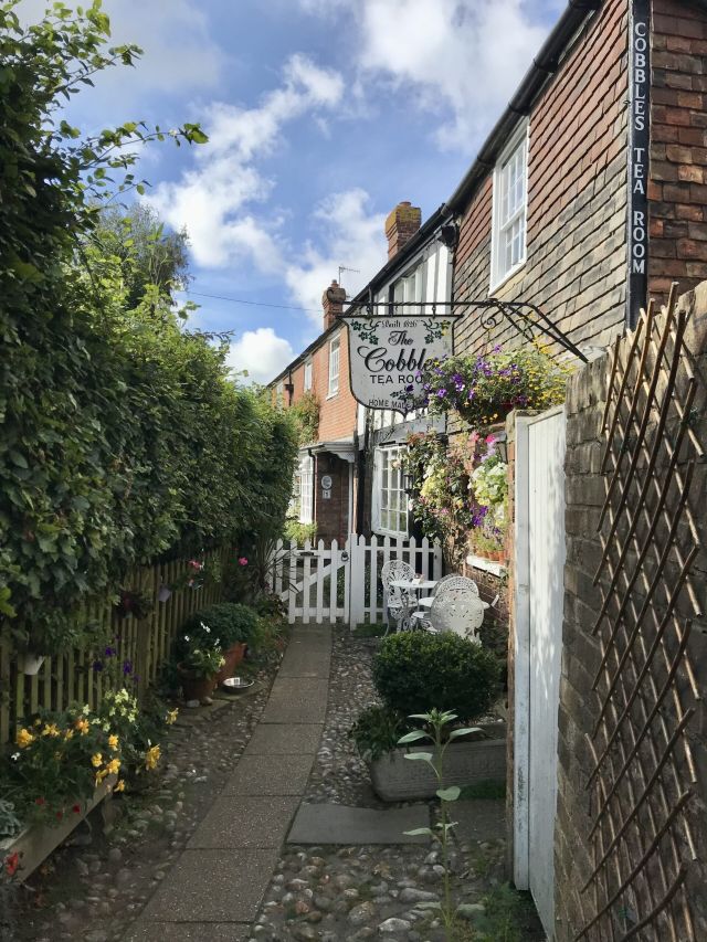 NHK総合「世界はほしいモノにあふれてる」Rye