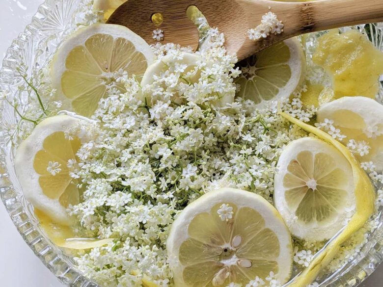 KENT DELI Elderflower